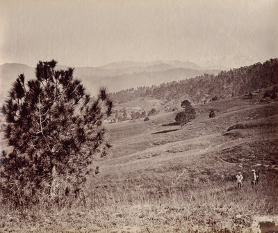 Táj fával és három emberrel, India alkotó: John Edward Saché