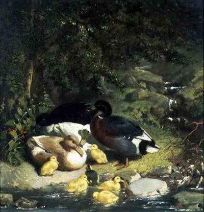 Kacsák és kiskacsák alkotó: John Frederick Herring Senior