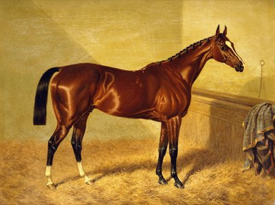 Orlando, egy Bay Racehorse in a Loosebox, 1845 alkotó: John Frederick Herring Senior