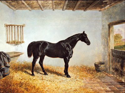 Istállóban álló mén portréja (olaj, panel) alkotó: John Frederick Herring Senior