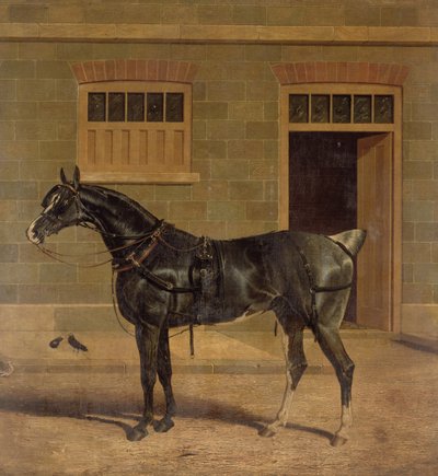 Ismeretlen kép alkotó: John Frederick Herring Senior