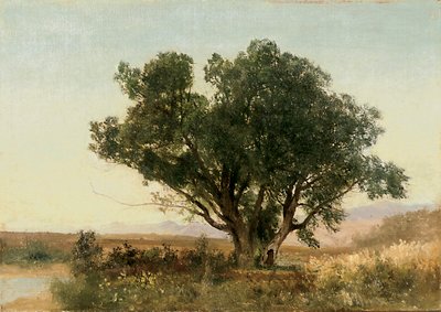 The Front Range, Colorado alkotó: John Frederick Kensett