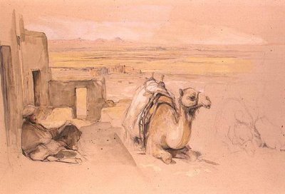 Camel, Nyugat-Théba alkotó: John Frederick Lewis