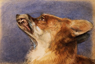 Egy róka feje alkotó: John Frederick Lewis
