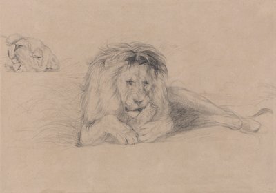 Tanulmány egy oroszlánról és egy oroszlánfej tanulmány alkotó: John Frederick Lewis