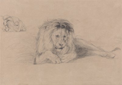 Tanulmány egy oroszlánról és tanulmány egy oroszlány fejéről alkotó: John Frederick Lewis