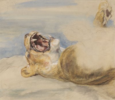Oroszlántanulmány (wc, testszín és grafit papíron) alkotó: John Frederick Lewis