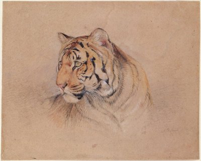 Tigris alkotó: John Frederick Lewis