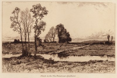 Heath a New Forestben, Lyndhurst közelében (metszet) alkotó: John Fullwood