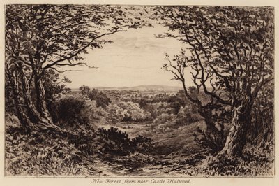 New Forest Castle Malwood közelében (metszet) alkotó: John Fullwood