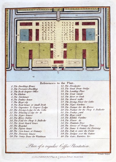 Rendszeres kávéültetvény terve, 1813 alkotó: John Gabriel Stedman