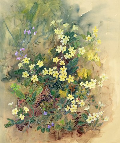 Primrose Bank alkotó: John Gubbins