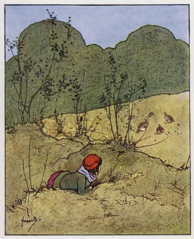 Fogoly (színes litó) alkotó: John Hassall