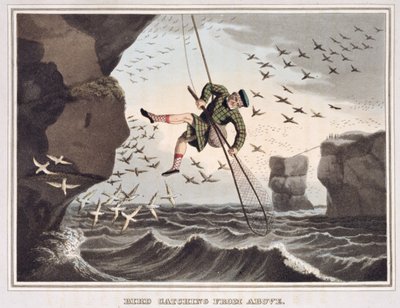 Madárfogás fentről, metszette Matthew Dubourg (1785-1820), kiadta Edward Orme, 1813. alkotó: John Heaviside Clark