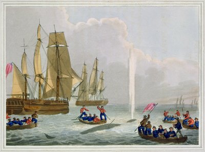 Csónakok közeledve egy bálnához, vésette Matthew Dubourg (fl.1785-1820), kiadó: Edward Orme, 1813 alkotó: John Heaviside Clark