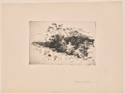 Őszi táj alkotó: John Henry Twachtman