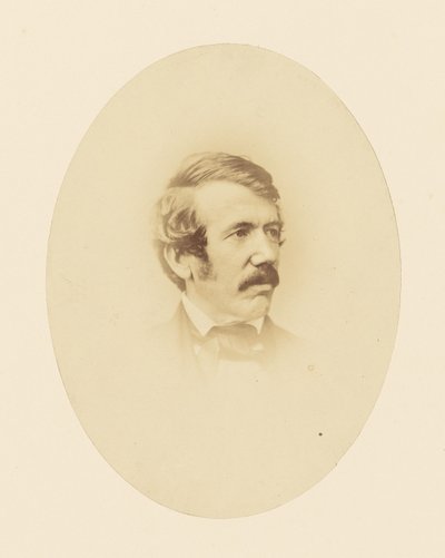 Dr. Livingstone alkotó: John Jabez Edwin Mayall