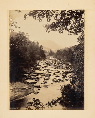 A Hickory Nut Creeknél, Észak-Karolina alkotó: John K. Hillers