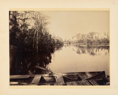 Silver Springs, Florida, kilátás folyásiránnyal szemben alkotó: John K. Hillers