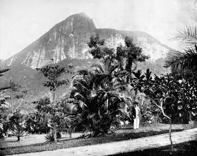 Botanikus kert és Corcovado-hegy, Rio de Janeiro, Brazília, 1893. alkotó: John L. Stoddard