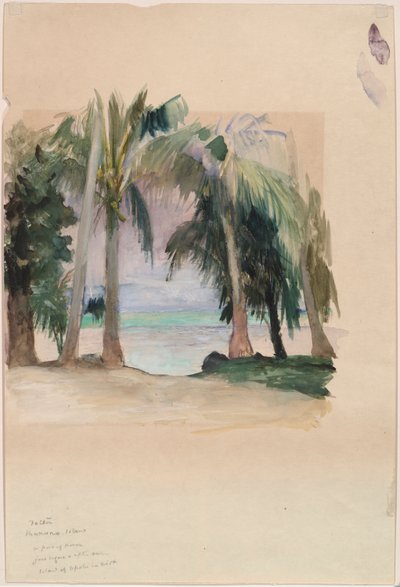 Pálmák a tenger mellett alkotó: John La Farge