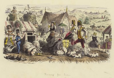 Gazdálkodás hölgyeknek alkotó: John Leech
