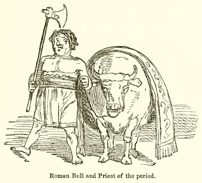 Római bika és a korszak papja alkotó: John Leech