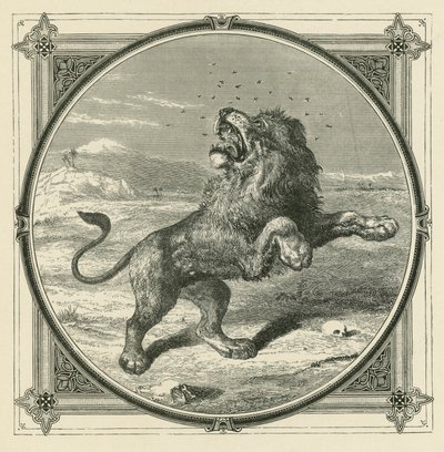 A szúnyog megszúrja az oroszlán szemét (metszet) alkotó: John Leighton