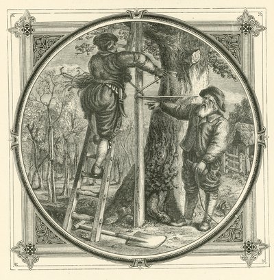 Az ágak edzettek, de a törzs nem (metszet) alkotó: John Leighton