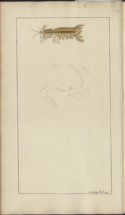 Lindsay Drawings Vol. VII, 24 alkotó: John Lindsay