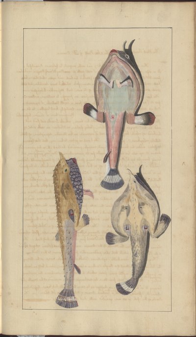 Lindsay Drawings Vol. VII, 27 alkotó: John Lindsay