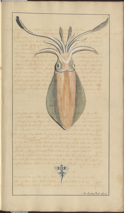 Lindsay Drawings Vol. VII, 29 alkotó: John Lindsay