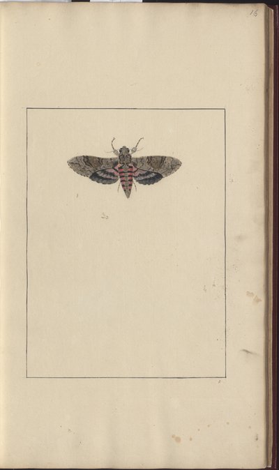 Lindsay Drawings Vol. VI alkotó: John Lindsay