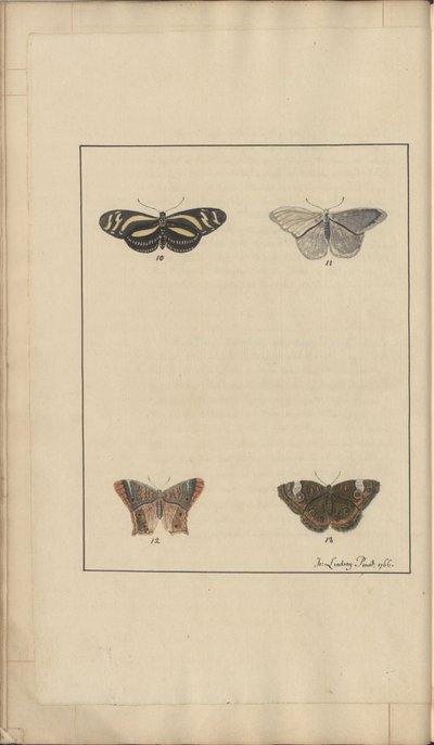 Lindsay Drawings Vol. VI, 35 alkotó: John Lindsay