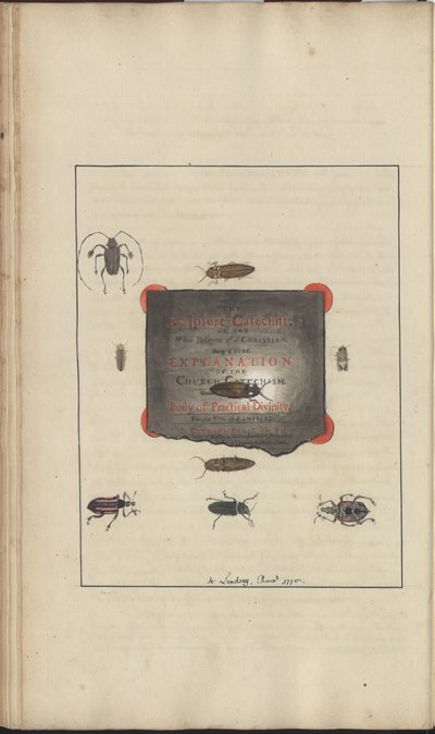 Lindsay Drawings Vol. VI, 95 alkotó: John Lindsay