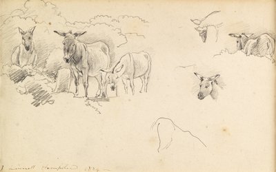 Szamarak, 1824 alkotó: John Linnell