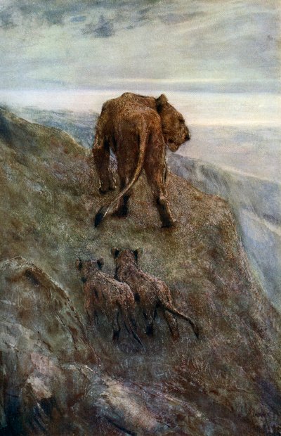 Készenlétben – Oroszlán és kölykök, c1878-1910, 1912. alkotó: John Macallan Swan
