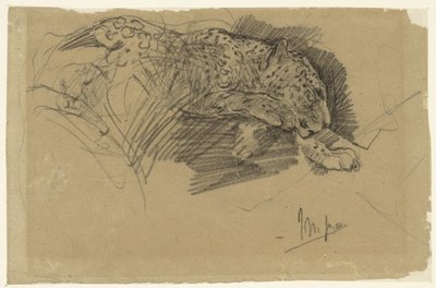 Tanulmányok egy leopárdról alkotó: John Macallan Swan