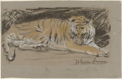 Nősténytigris alkotó: John Macallan Swan