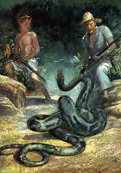 Svájci család Robinson alkotó: John Millar Watt