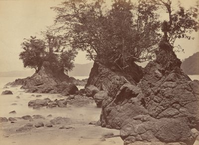 Szigetek, Limon-öböl,1871 (fénykép) alkotó: John Moran