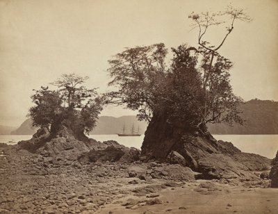 Szigetek a Lemon Bay-ben, 1871. alkotó: John Moran