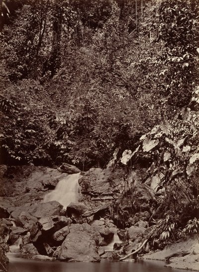 Trópusi táj, Cascade, Limon River, 1871. alkotó: John Moran