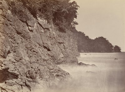 Trópusi táj, Cliff - Limon Bay, 1871. alkotó: John Moran