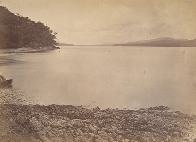 Trópusi táj, Darien kikötője – Délre nézve, 1871. alkotó: John Moran