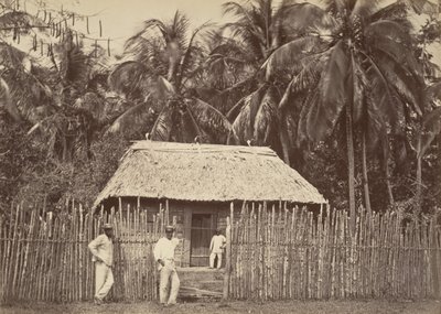 Trópusi táj, Native Hut, Turbo, 1871. alkotó: John Moran