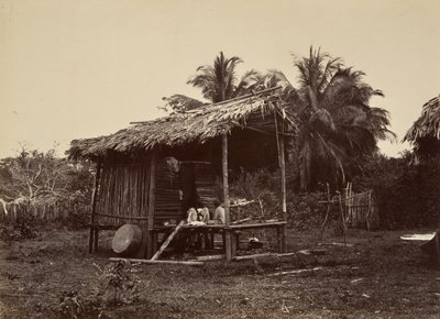 Trópusi táj, Native Hut, Turbo, 1871. alkotó: John Moran