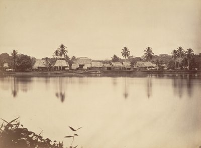 Trópusi táj, Santa Maria del Real, Darien, 1871. alkotó: John Moran