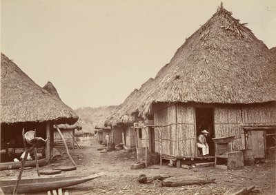 Trópusi táj, utca, Chipigana, 1871. alkotó: John Moran