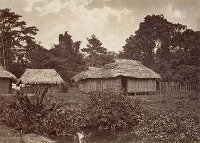 Trópusi táj, Turbo Village, 1871. alkotó: John Moran